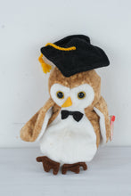 Load image into Gallery viewer, Ty Beanie Baby Wisest Owl Class of 2000 Graduation Plush Vintage 8 Inch With Tag