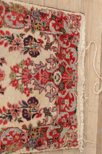 Load image into Gallery viewer, 24 Foot Hand Woven Iranian Runner