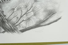 Load image into Gallery viewer, Sharon Meiley Signed Bald Eagle Wildlife Art Print Limited Edition 2722 of 3000