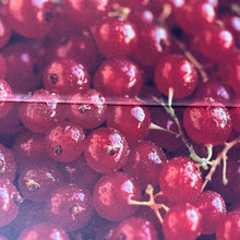 Load image into Gallery viewer, Eating by Color for Maximum Health - Williams-Sonoma