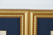 Load image into Gallery viewer, Set of 3 Framed Botanical Prints – Blue Floral Series (Achimenes, Torrenia, Hindsia) – 14.5" x 16.5" Gold Frames