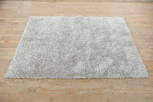 Load image into Gallery viewer, Style Selections Gray Shag Area Rug 4x6 Polyester Plush Modern