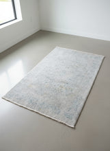 Load image into Gallery viewer, Safavieh “Dream” Area Rug – 2’6” x 4’ (Grey Blue)