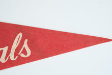 Load image into Gallery viewer, Vintage St Louis Cardinals NFL Felt Pennant 1960s Football Helmet 30 Inch