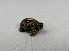 Load image into Gallery viewer, Micro Tortoise