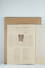 Load image into Gallery viewer, Afternoon Flight - Bob Timberlake Lithograph