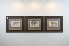 Load image into Gallery viewer, Safari Animal Wall Art Set Elephant Lion Leopard Framed Prints USA