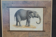 Load image into Gallery viewer, Safari Animal Wall Art Set Elephant Lion Leopard Framed Prints USA
