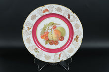 Load image into Gallery viewer, Set of 10 Winterling Germany 10" Fruit Plates – Mixed Motif – Pink & Gold Rim Porcelain