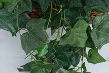 Load image into Gallery viewer, Artificial Ivy Arrangement in Woven Basket – 17” Wide Realistic Greenery Décor