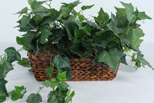Load image into Gallery viewer, Artificial Ivy Arrangement in Woven Basket – 17” Wide Realistic Greenery Décor