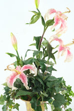 Load image into Gallery viewer, Artificial Pink Lily Floral Arrangement – 30” Tall in Gold Urn Planter