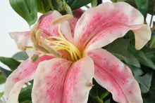 Load image into Gallery viewer, Artificial Pink Lily Floral Arrangement – 30” Tall in Gold Urn Planter