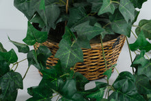 Load image into Gallery viewer, Artificial English Ivy Arrangement in Handwoven Wicker Basket – 13" x 12" x 7" Realistic Cascading Greenery Décor