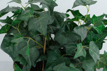 Load image into Gallery viewer, Artificial English Ivy Arrangement in Handwoven Wicker Basket – 13" x 12" x 7" Realistic Cascading Greenery Décor