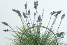 Load image into Gallery viewer, Artificial Lavender Arrangement in Rustic Wooden Basket – Farmhouse Style Floral Décor