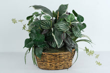 Load image into Gallery viewer, Artificial Mixed Greenery Arrangement in Handwoven Oval Basket – 13" x 12" x 7" Realistic Silk Plant Display