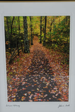 Load image into Gallery viewer, John W Snell Autumn Pathway Framed Landscape Photograph Print 14x17
