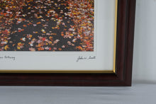 Load image into Gallery viewer, John W Snell Autumn Pathway Framed Landscape Photograph Print 14x17