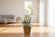 Load image into Gallery viewer, Artificial Orchid Arrangement Bamboo Planter Tall Floor Decor 48 Inch