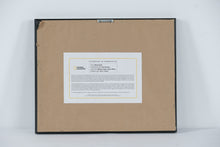 Load image into Gallery viewer, National Geographic “Beach Huts” Framed Photo by Tino Soriano – Western Cape, South Africa – 12.5" x 15.5"