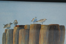 Load image into Gallery viewer, 🐦 Richard Fisher “Between Flights” Small Framed Coastal Bird Print