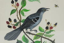 Load image into Gallery viewer, Charles G McLaurin Bird Painting Original Signed Wildlife Art North Carolina