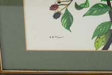 Load image into Gallery viewer, Charles G McLaurin Bird Painting Original Signed Wildlife Art North Carolina