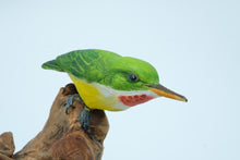 Load image into Gallery viewer, Handcrafted “San Pedrito” Puerto Rican Tody Bird Sculpture on Driftwood Base – Signed
