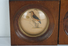 Load image into Gallery viewer, Vintage Pair Framed Bird Prints with Convex Glass 4.5 Inch Square
