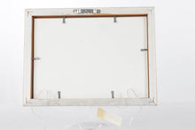 Load image into Gallery viewer, Birds Watercolor - Signed & Numbered - Anton Wang