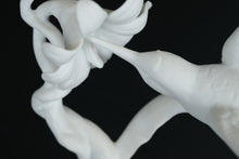 Load image into Gallery viewer, Rare Kaiser Bisque Porcelain Hummingbird Figurine – Signed Boehmann, West Germany