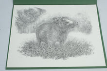 Load image into Gallery viewer, Sharon Meiley Signed Wild Boar Wildlife Art Print Limited Edition 1680 of 3000