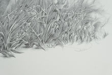Load image into Gallery viewer, Sharon Meiley Signed Wild Boar Wildlife Art Print Limited Edition 1680 of 3000