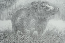 Load image into Gallery viewer, Sharon Meiley Signed Wild Boar Wildlife Art Print Limited Edition 1680 of 3000