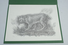 Load image into Gallery viewer, Sharon Meiley Signed Bobcat Wildlife Art Print Limited Edition 2893 of 3000