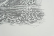 Load image into Gallery viewer, Sharon Meiley Signed Bobcat Wildlife Art Print Limited Edition 2893 of 3000