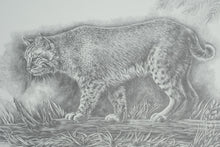 Load image into Gallery viewer, Sharon Meiley Signed Bobcat Wildlife Art Print Limited Edition 2893 of 3000