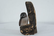 Load image into Gallery viewer, Bryan Whaley Hand Carved Owl Sculpture Wood Burl Driftwood Art