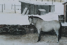 Load image into Gallery viewer, Buckskin By Peter Sculth - 44 x 28