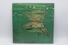 Load image into Gallery viewer, Jimmy Buffett Living and Dying in 34 Time LP MCA 37025