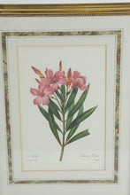 Load image into Gallery viewer, Pair of P.J. Redouté Botanical Prints – Pivoine de la Chine & Laurier Rose – Framed Floral Art Set, Gold Frames 15.5” x 19.5”