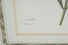 Load image into Gallery viewer, Pair of P.J. Redouté Botanical Prints – Pivoine de la Chine & Laurier Rose – Framed Floral Art Set, Gold Frames 15.5” x 19.5”