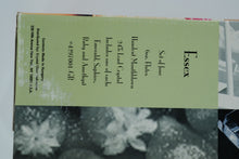 Load image into Gallery viewer, Essex Jewel-Tone Crystal Champagne Flute Set – Handcut Lead Crystal, Made in Hungary