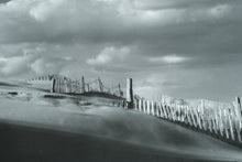 Load image into Gallery viewer, 🌊 “Coastal Whispers” – Framed Dune Photography by Eve Turek (Pair)