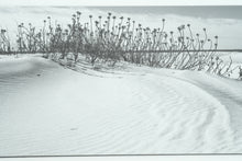 Load image into Gallery viewer, 🌊 “Coastal Whispers” – Framed Dune Photography by Eve Turek (Pair)