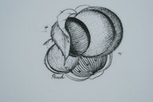 Load image into Gallery viewer, Susie Cooper “Black Fruit” Coffee Set by Wedgwood – 19-Piece Set – Excellent Condition