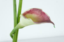 Load image into Gallery viewer, Caithness Botanical Gardens Calla Lily Art Glass Vase Sculpture Square Base