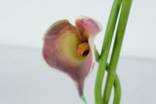 Load image into Gallery viewer, Caithness Botanical Gardens Calla Lily Art Glass Vase Sculpture Square Base