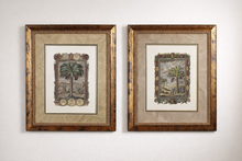 Load image into Gallery viewer, Pair Framed Palm Tree Botanical Engravings Classical Style Prints 25 x 29